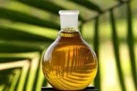 Palm Kernel Oil