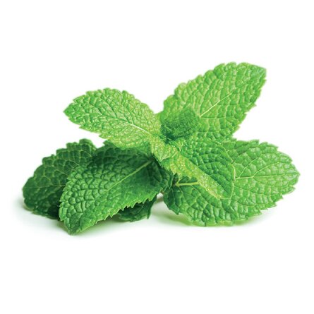 Peppermint