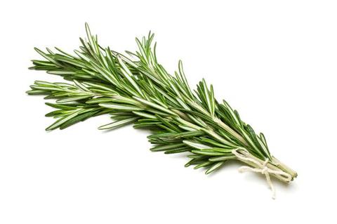 Rosemary Essential Oil