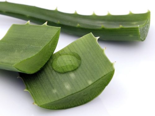 Aloe Vera Oil