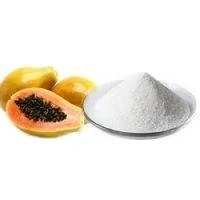Papain Enzyme